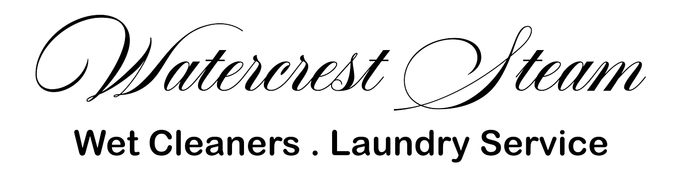 Transparent Logo
